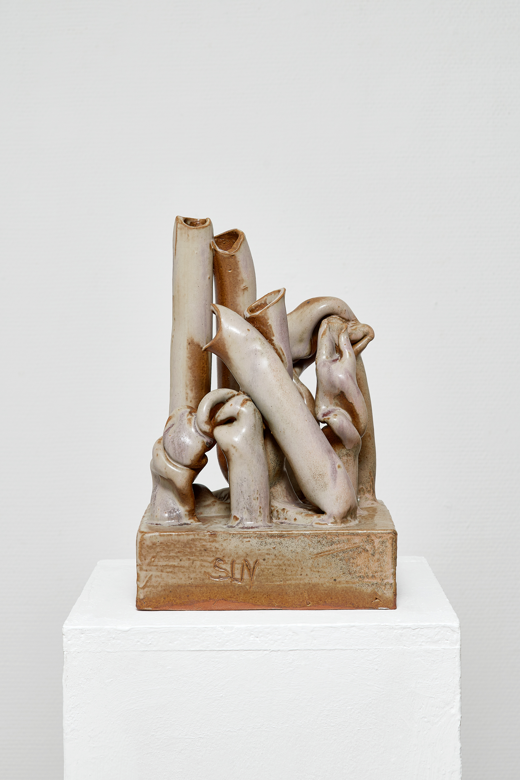  DSC4175 LRINCZ Zsuzsanna FIGHTING FOR SURVIVAL 2020 322018cm