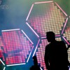muse_p2010_24