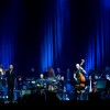 sting_p2011_17