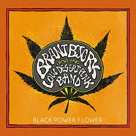 brantbjork_c