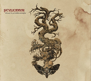 siculicidium_c