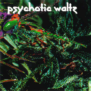 Psychotic Waltz: Mosquito