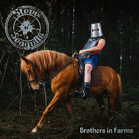 stevenseagulls_c