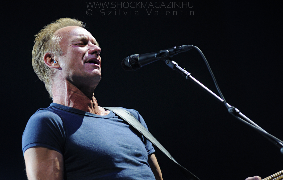 sting_k2017_02