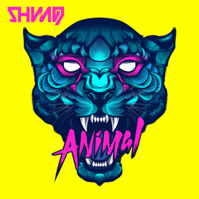shiningn_c