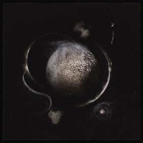 enthroned_c